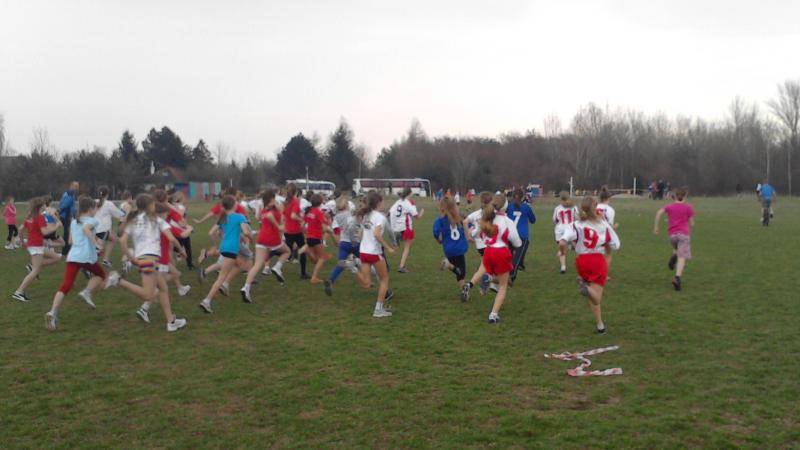 Otwarte biegi przełajowe 2013 bieg