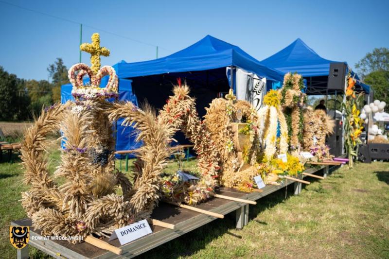 Dożynki gminne w Domanicach 2024