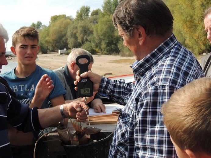 Dzień Sandacz 2015 ważenie ryb