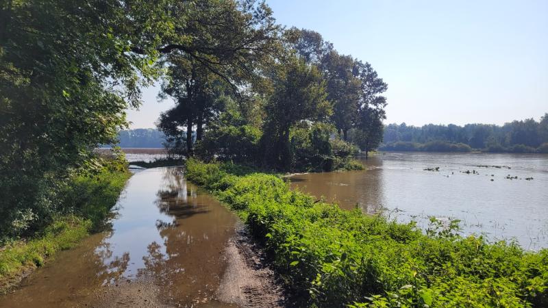 Droga Milin-Okulice (powódź) 2024