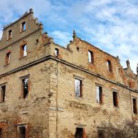 Pałac w Borzygniewie - ruina w 2019