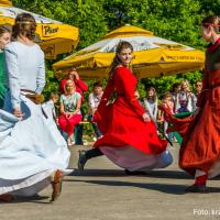 Dzień Lilaka 2018 Chorągiew Piastów Śląskich panny