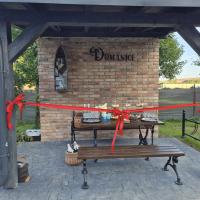 Przystanek turystyczny w Domanicach 2025 wstęga