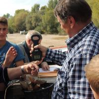 Dzień Sandacz 2015 ważenie ryb